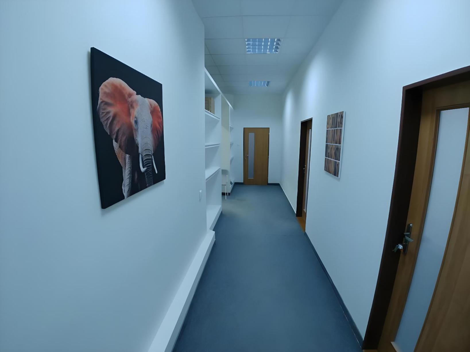 Rooms Veveri - Uvoz, 10 Min Peski Do Centru ブルノ エクステリア 写真