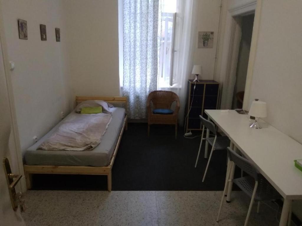 Rooms Veveri - Uvoz, 10 Min Peski Do Centru ブルノ エクステリア 写真
